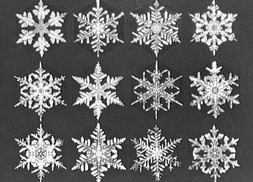 paper snowflake shapes