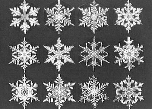 paper snowflake shapes